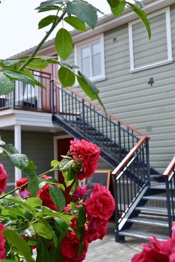 Alice Backyard-Holiday Home And Spa Pärnu Exterior foto